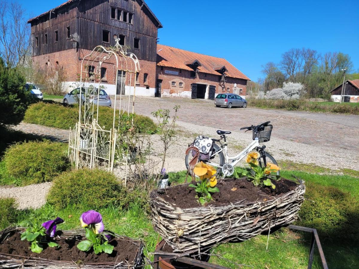 Agroturystyka "Palac W Janowie" Janów Exterior foto