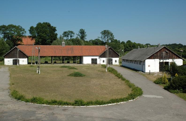 Agroturystyka "Palac W Janowie" Janów Exterior foto