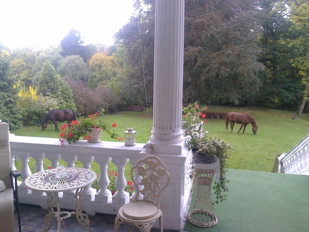 Agroturystyka "Palac W Janowie" Janów Quarto foto
